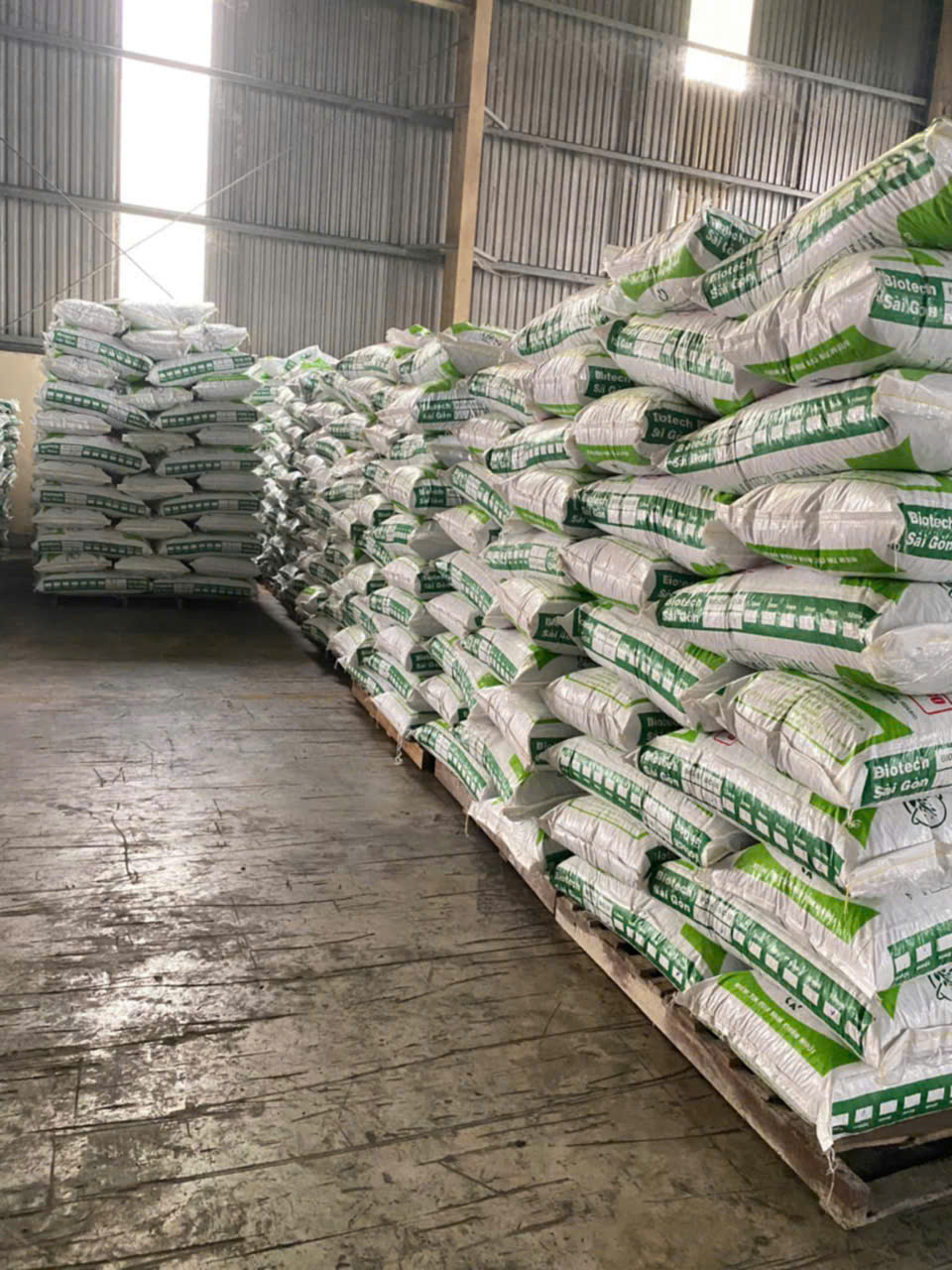 Vật nuôi lớn chậm dù ăn nhiều: Nguyên nhân và cách xử lý thực tế