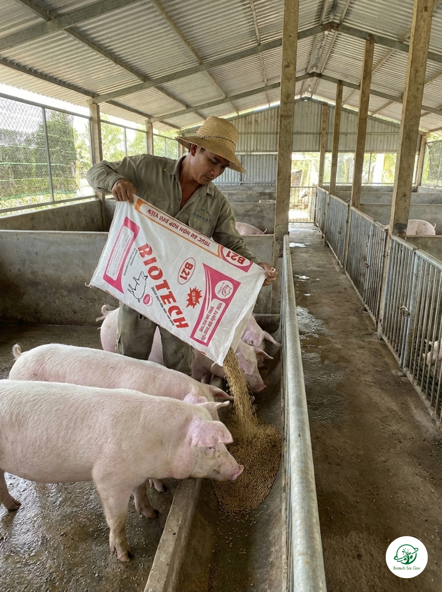6 chỉ số chăn nuôi cơ bản giúp kiểm soát hiệu quả đàn